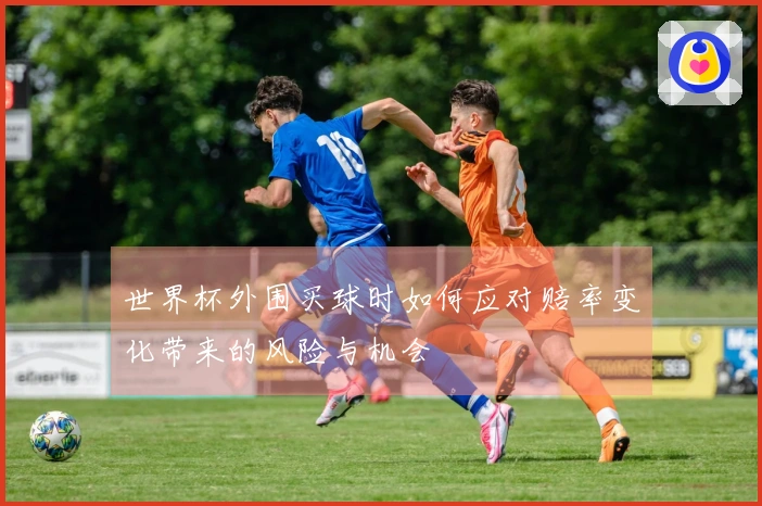 世界杯外围买球时如何应对赔率变化带来的风险与机会