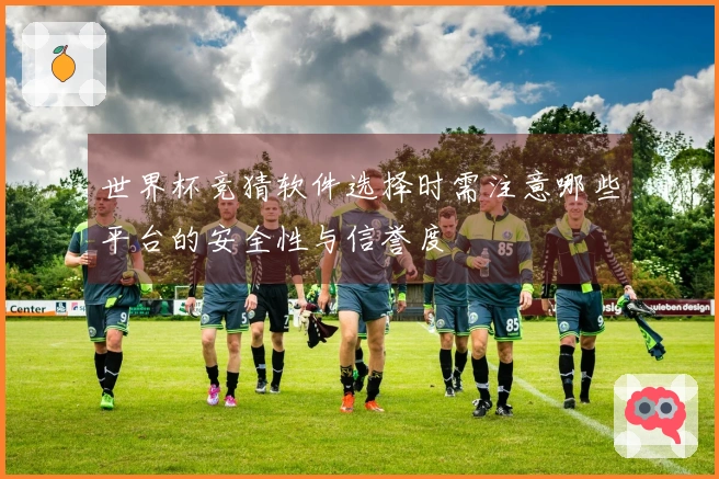 世界杯竞猜软件选择时需注意哪些平台的安全性与信誉度