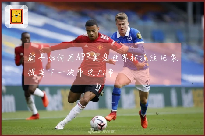 新手如何用APP复盘世界杯投注记录提高下一次中奖几率
