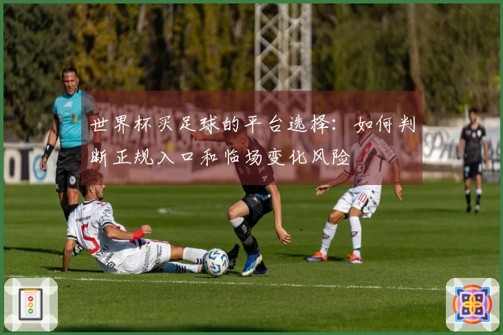 世界杯买足球的平台选择：如何判断正规入口和临场变化风险